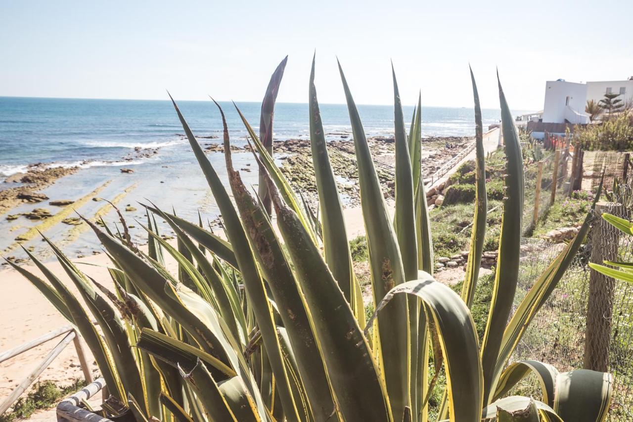 Dúplex con piscina, garaje y jardín, frente a la playa de los Caños de Meca. Exterior foto